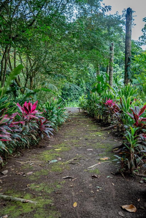 Hotel Los Rios Guácimo エクステリア 写真