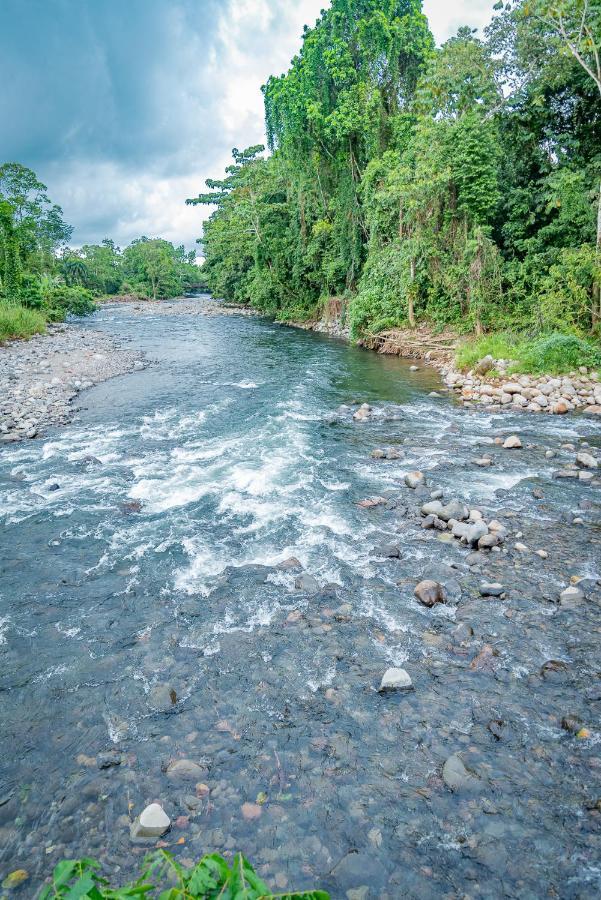 Hotel Los Rios Guácimo エクステリア 写真